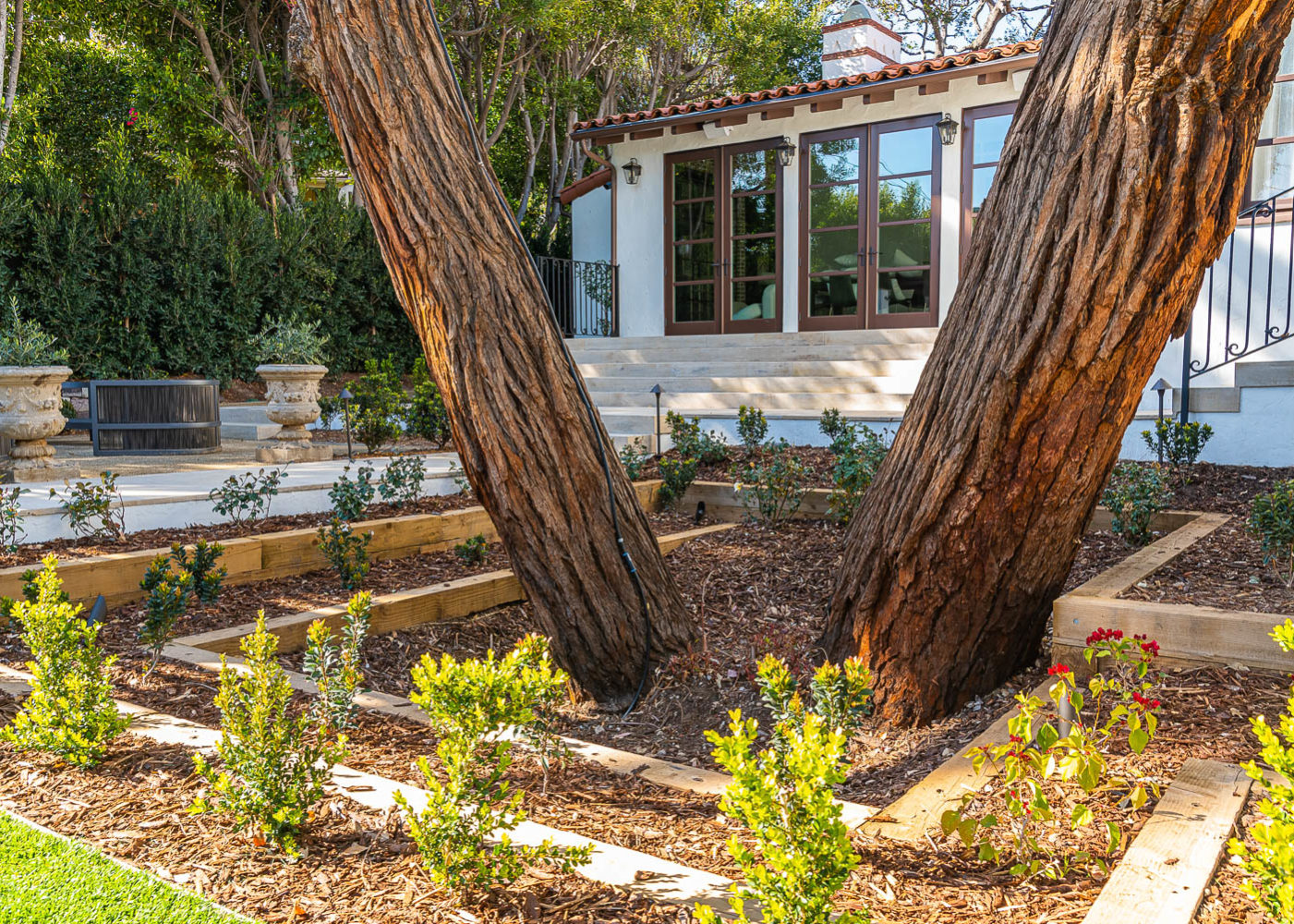 Crestview Sunset Jesterjungco 18