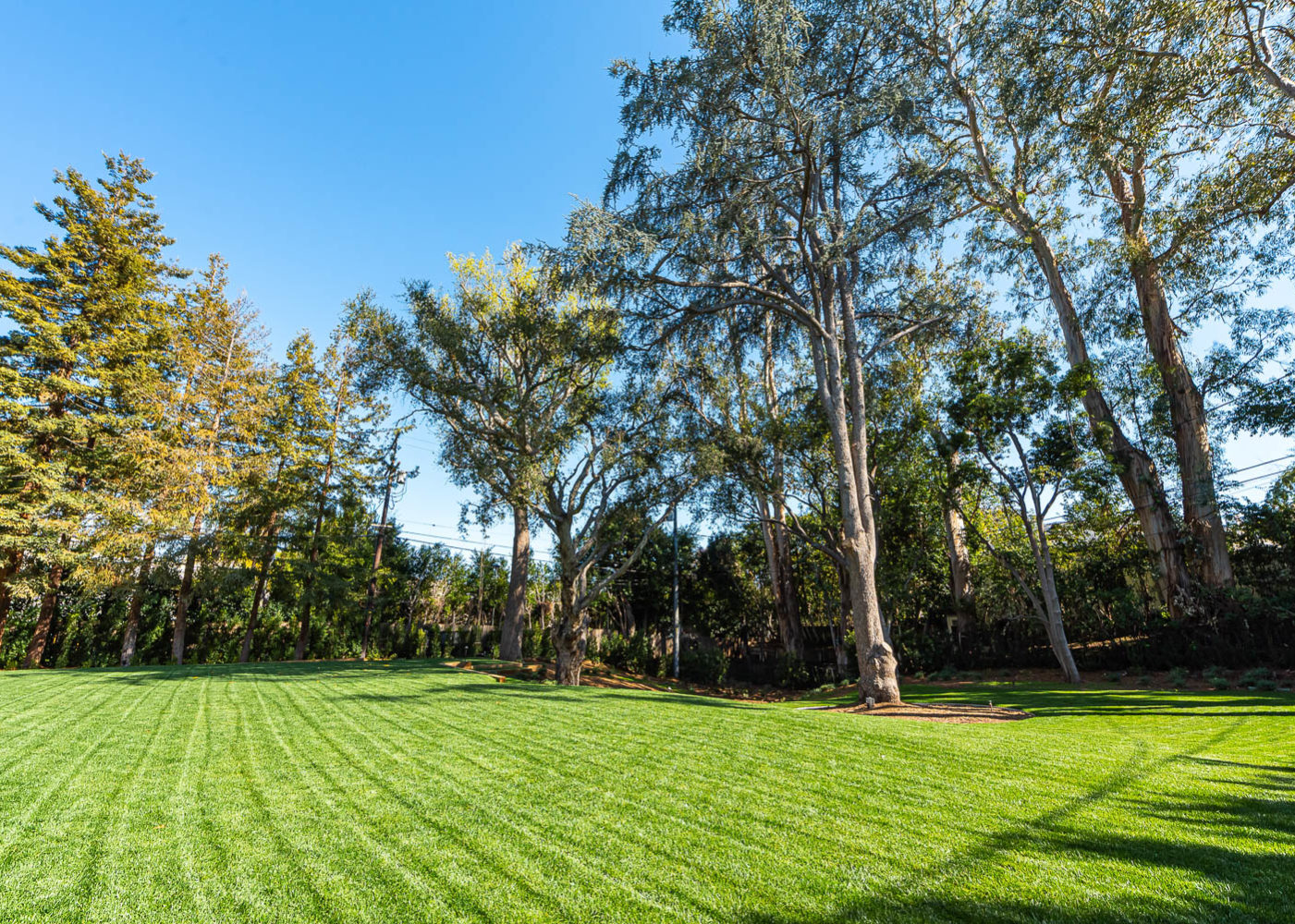 Crestview Sunset Jesterjungco 24