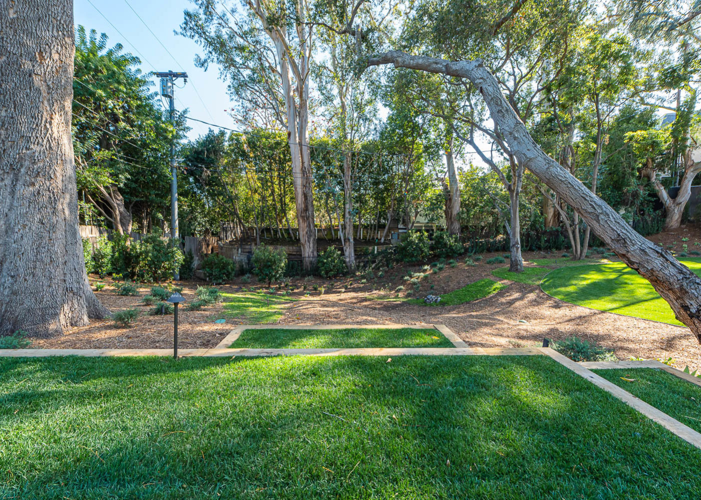 Crestview Sunset Jesterjungco 25