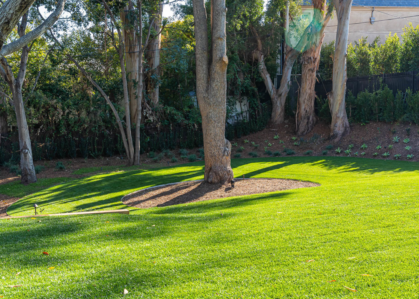 Crestview Sunset Jesterjungco 30