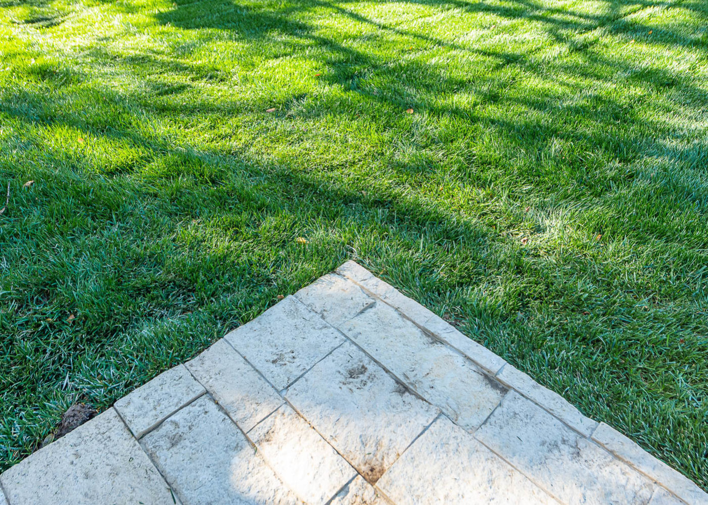 Crestview Sunset Jesterjungco 8