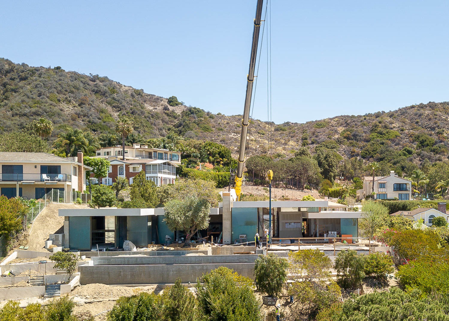 Ariel view of tree transportation