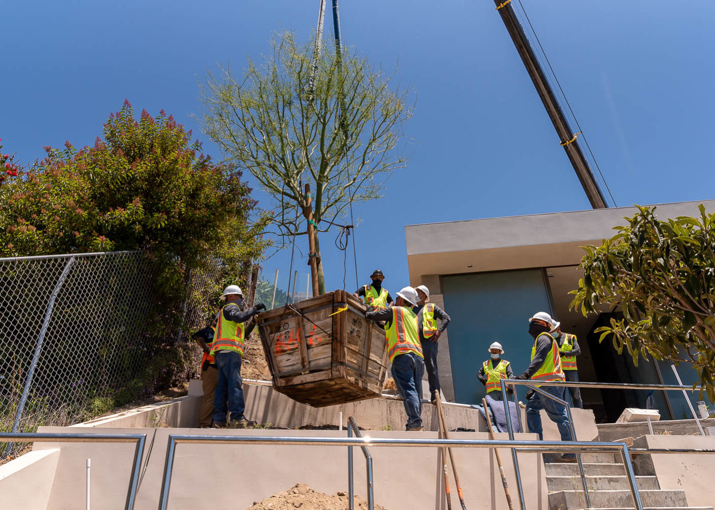 Tree transportation shot