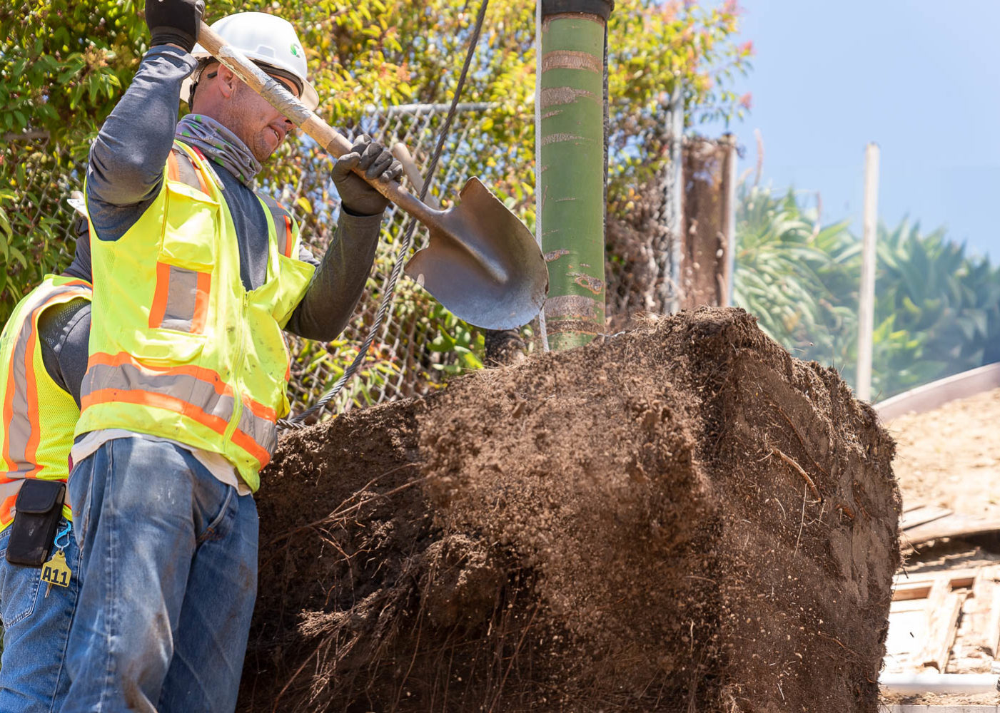 Preparing tree relocation