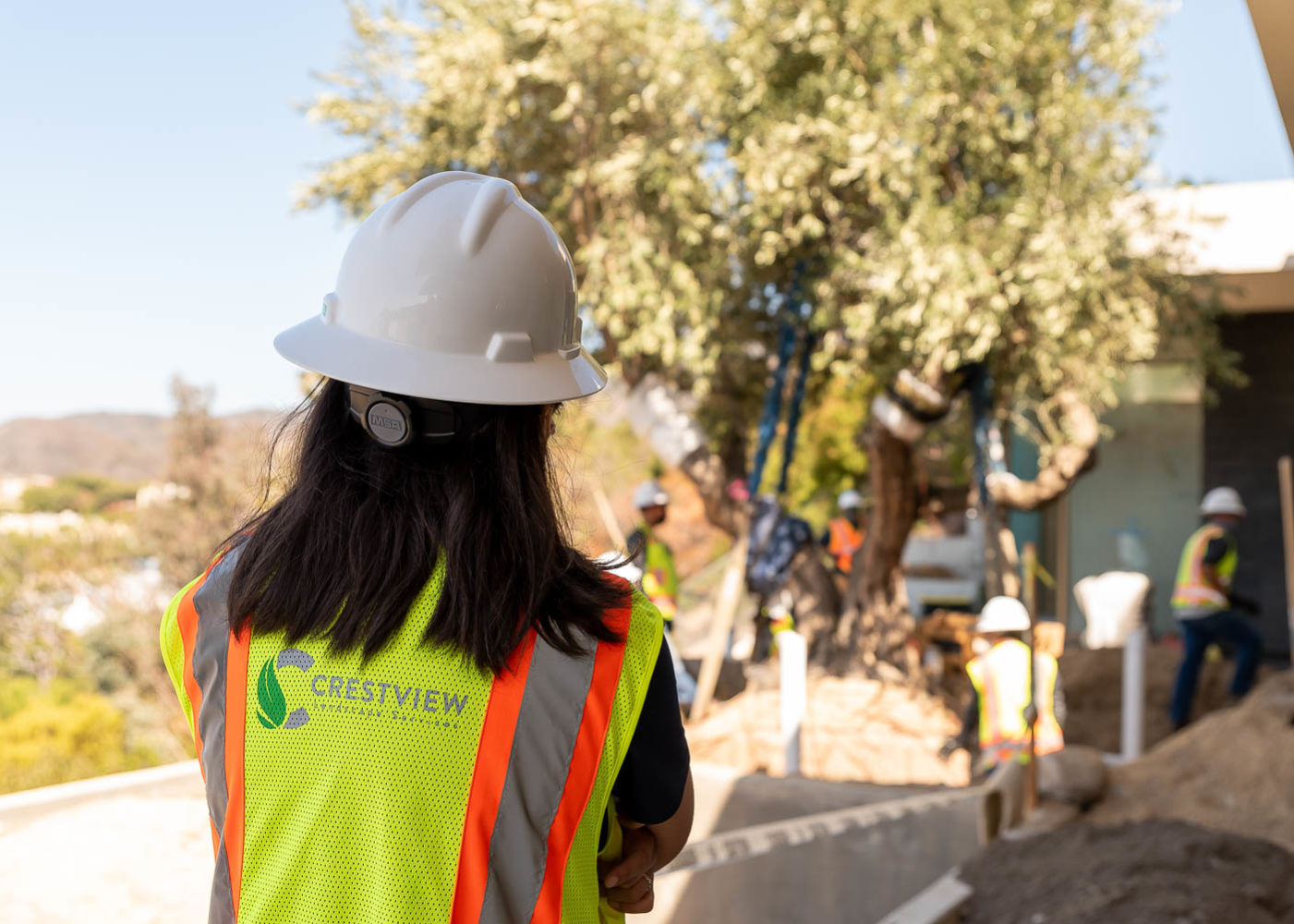 Worker Supervising Work