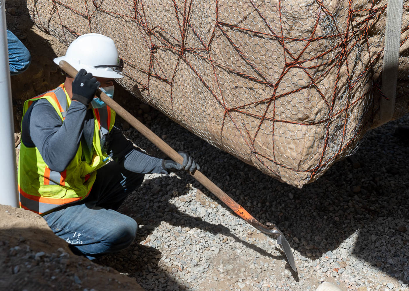 Preparing area for tree