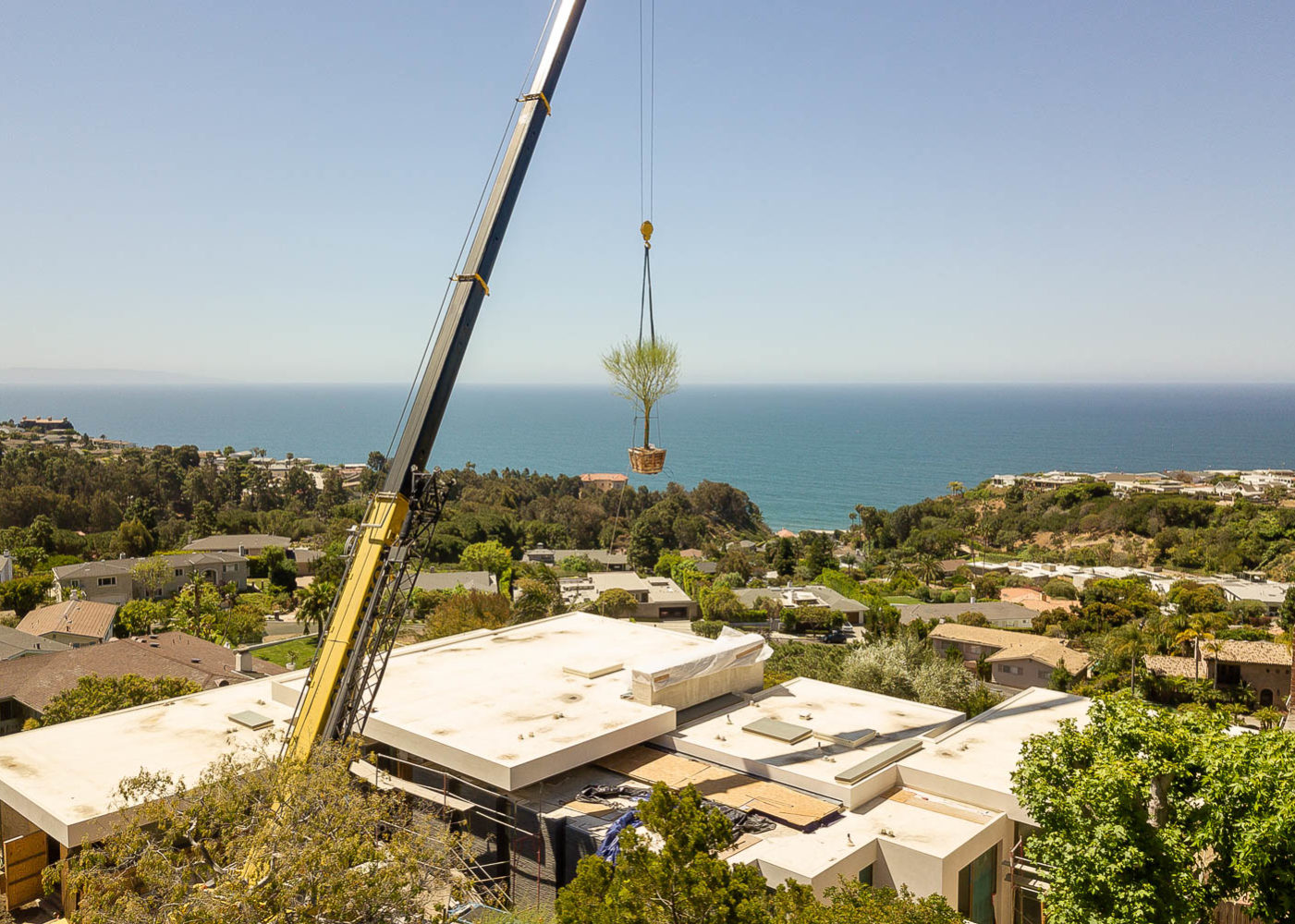 Ariel view of tree transportation