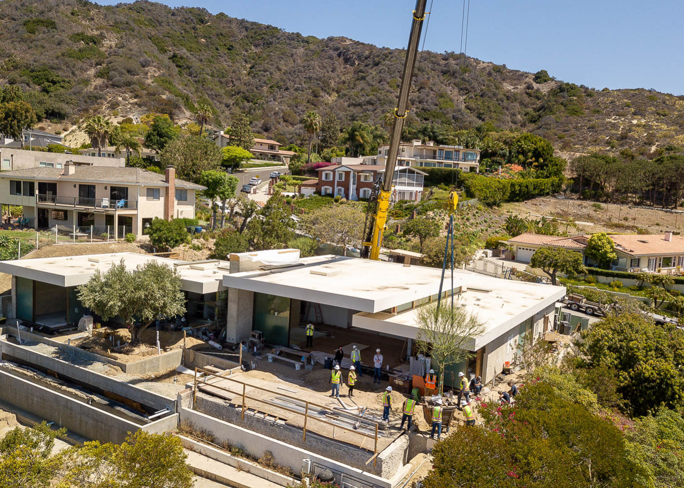 Ariel view of tree transportation