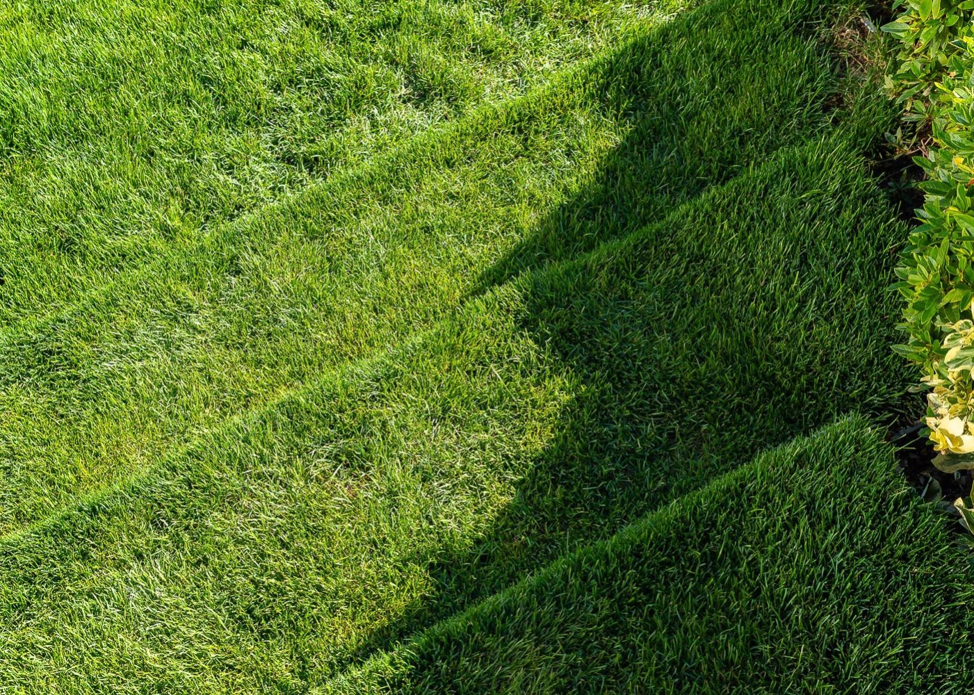 West Hollywood grass stairs aerial view