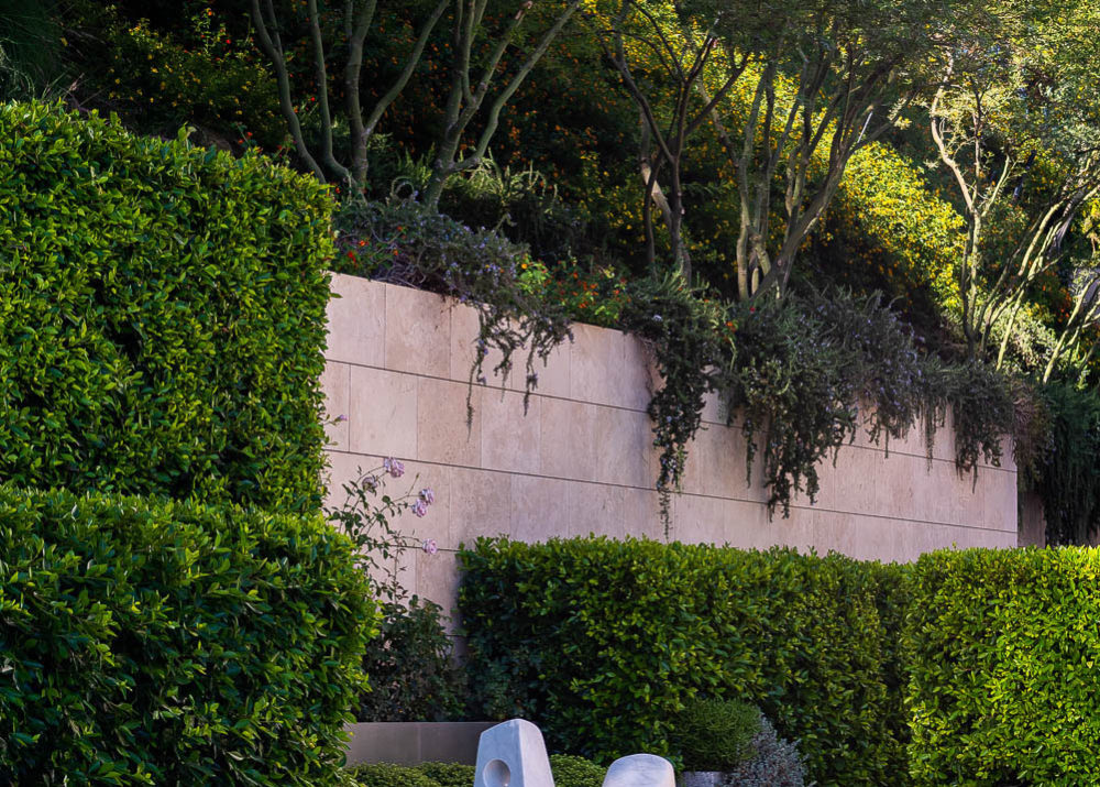 West Hollywood shrub and wall