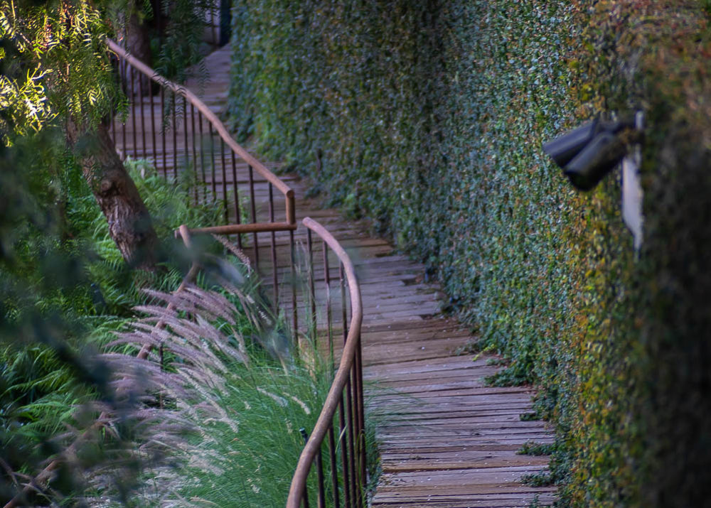 West Hollywood wooden pathway