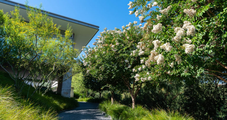 West Hollywood blooming trees and stone pathway