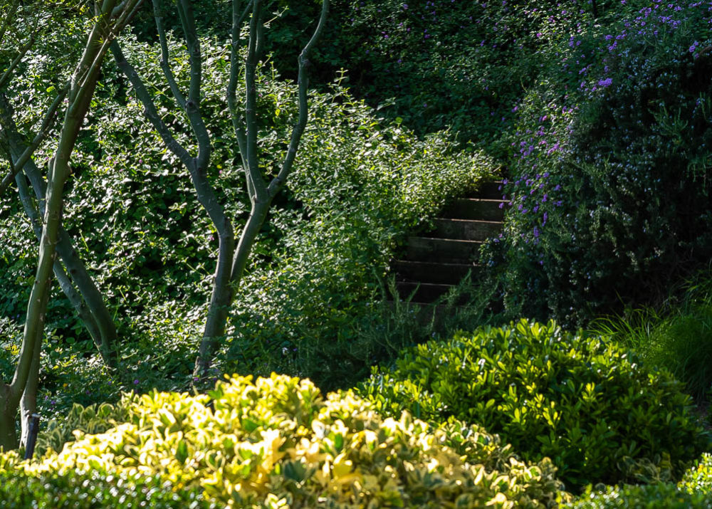 West Hollywood hidden stairway view
